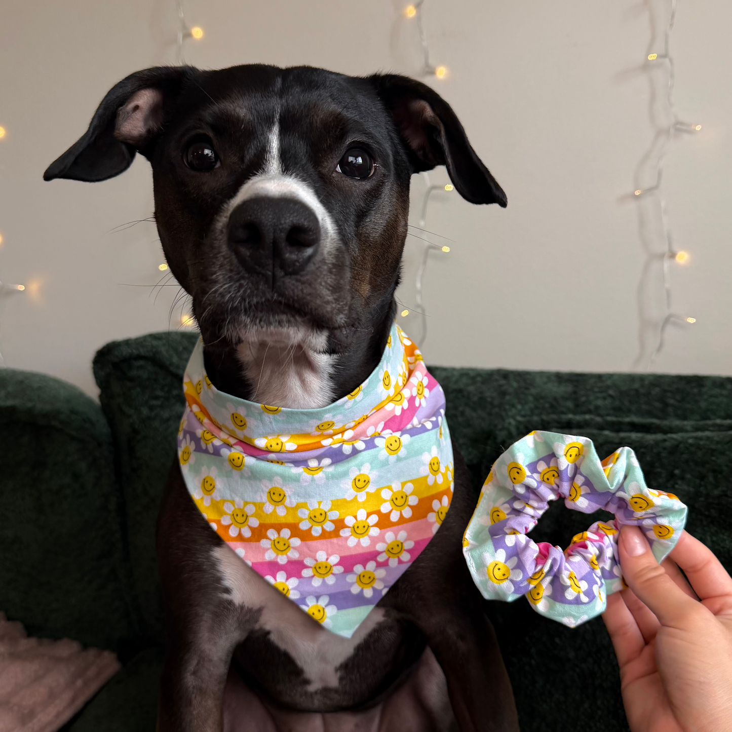 Daisy Dreams Set