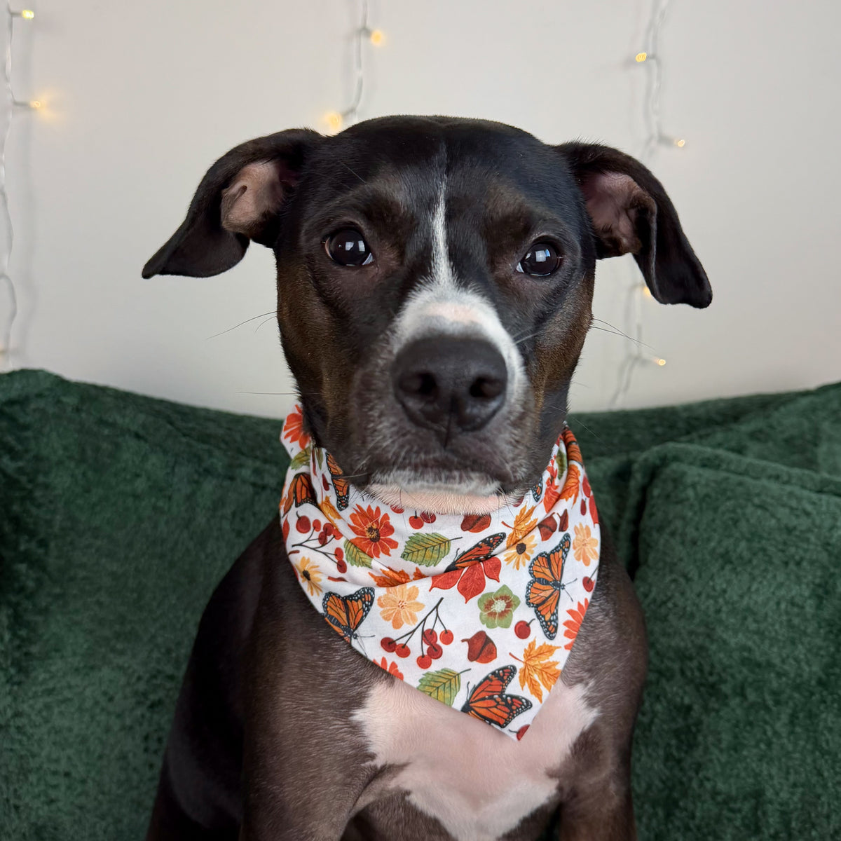 Fluttering Into Fall Bandana