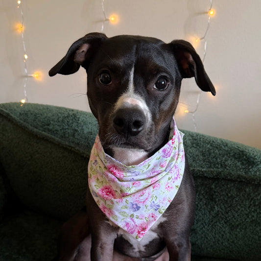 Peony Princess Bandana