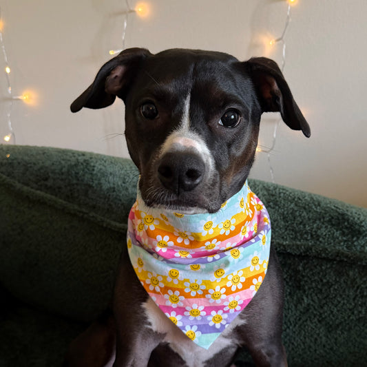 Daisy Dreams Bandana