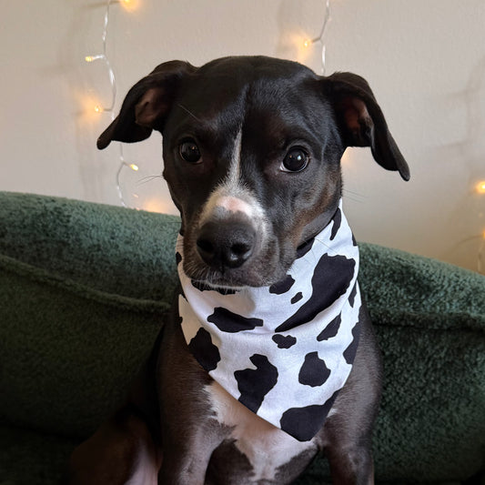 Bessie Bandana