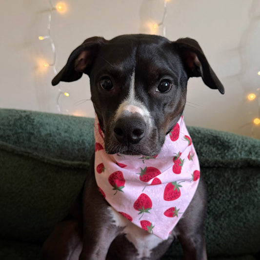 Strawberry Delight Bandana