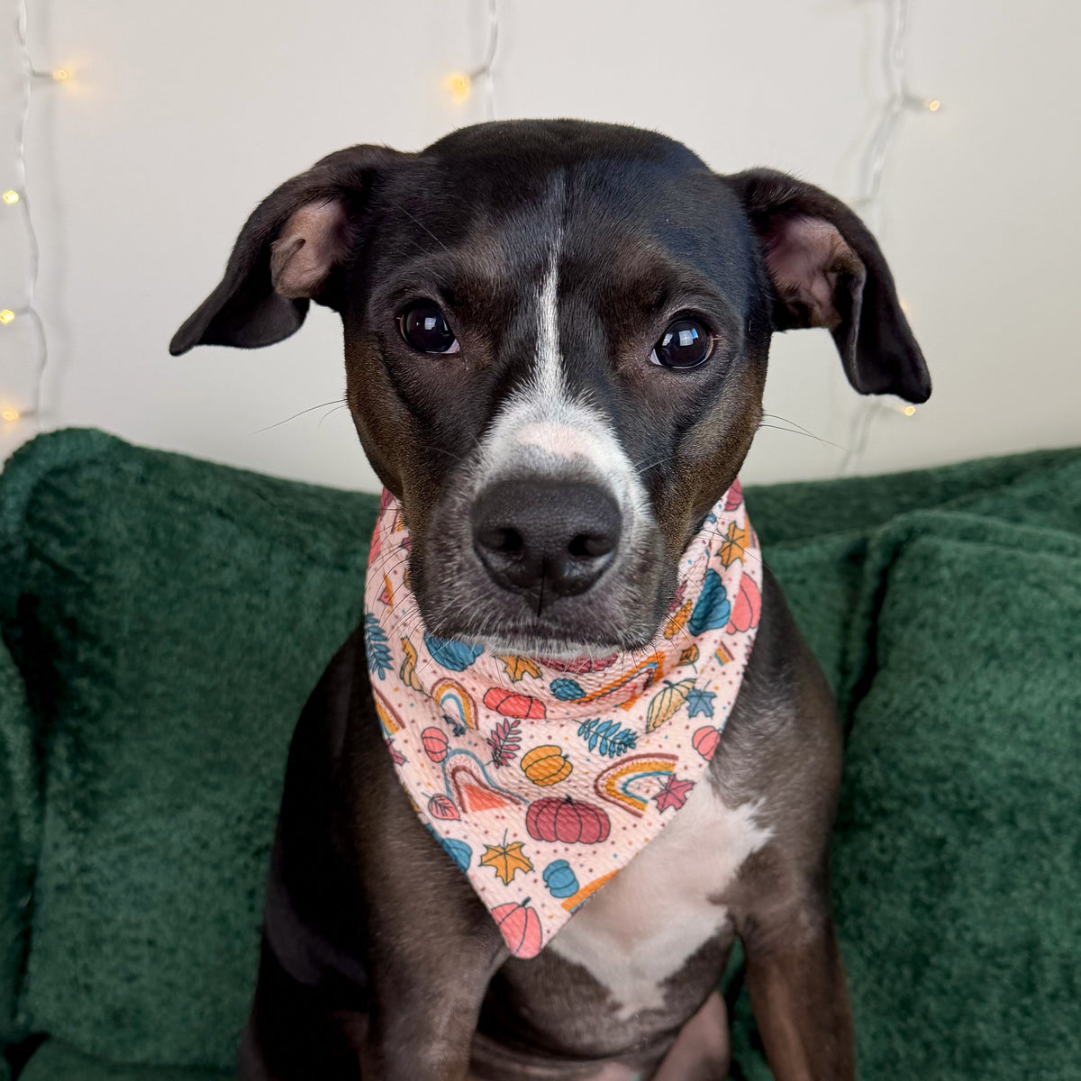 Pumpkins, Leaves, and Rainbows Please Bandana