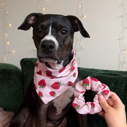 Strawberry Delight Set